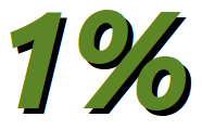 2010. évi 1%